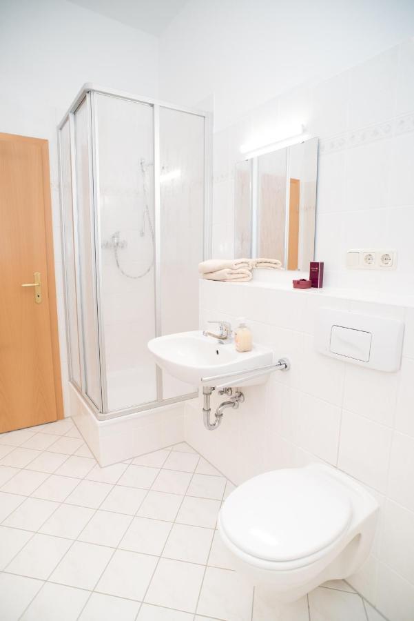 Stilvolle 1-Raum-Wohnung Zentral, Ruhig Gelegen Dresde Exterior foto